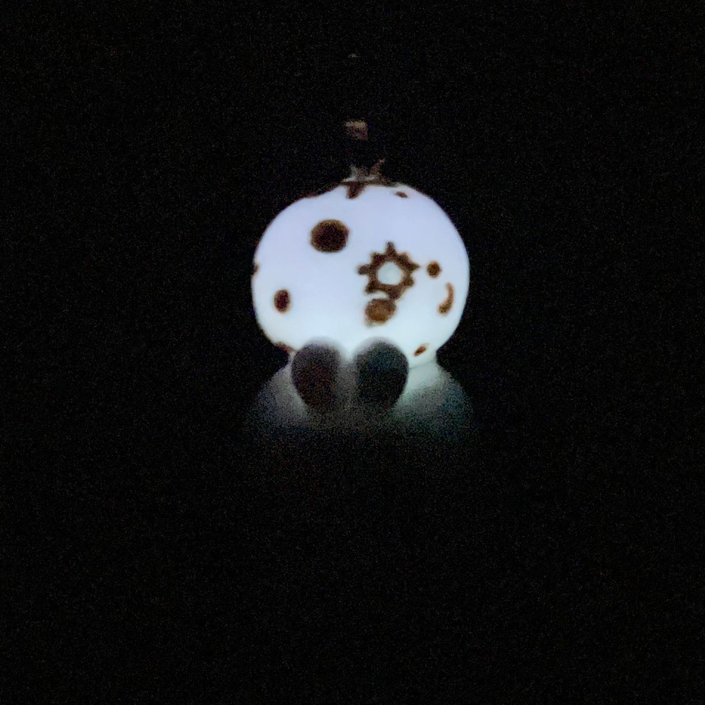 (Catalogue) Moon Bunny