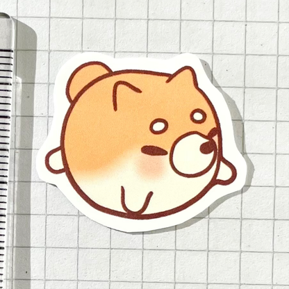 Shiba Inu