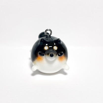 Black Shiba Inu