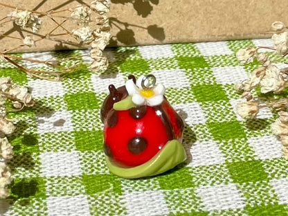 (Catalogue) Ladybug