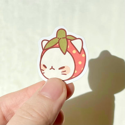 Strawberry Cat Head