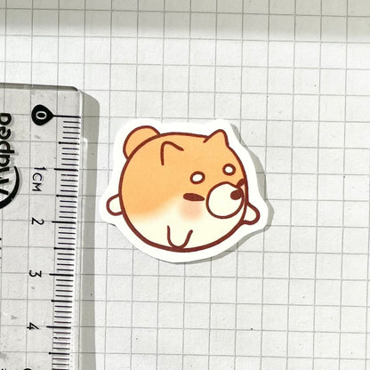 Shiba Inu