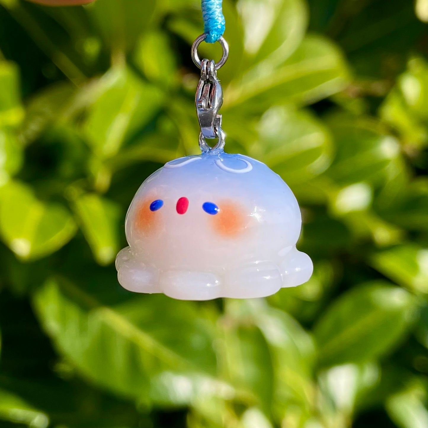 Jellyfish