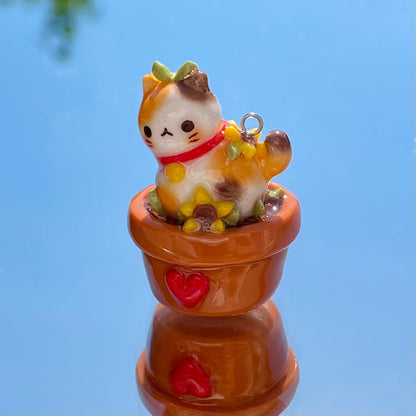 Plant Calico Cat