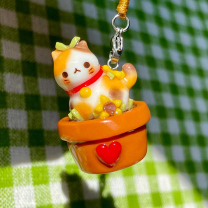Plant Calico Cat