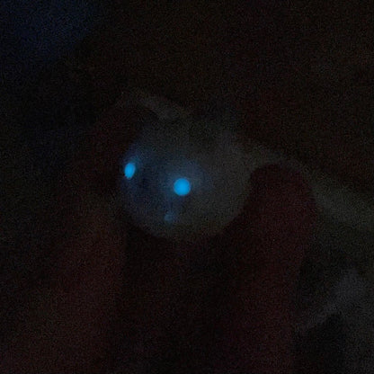 (Catalogue) Ghost Cat