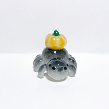 (Catalogue) Pumpkin Spider