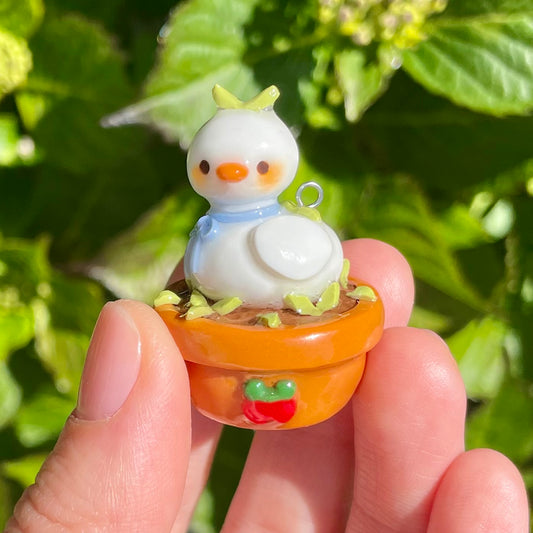 Duck Plant