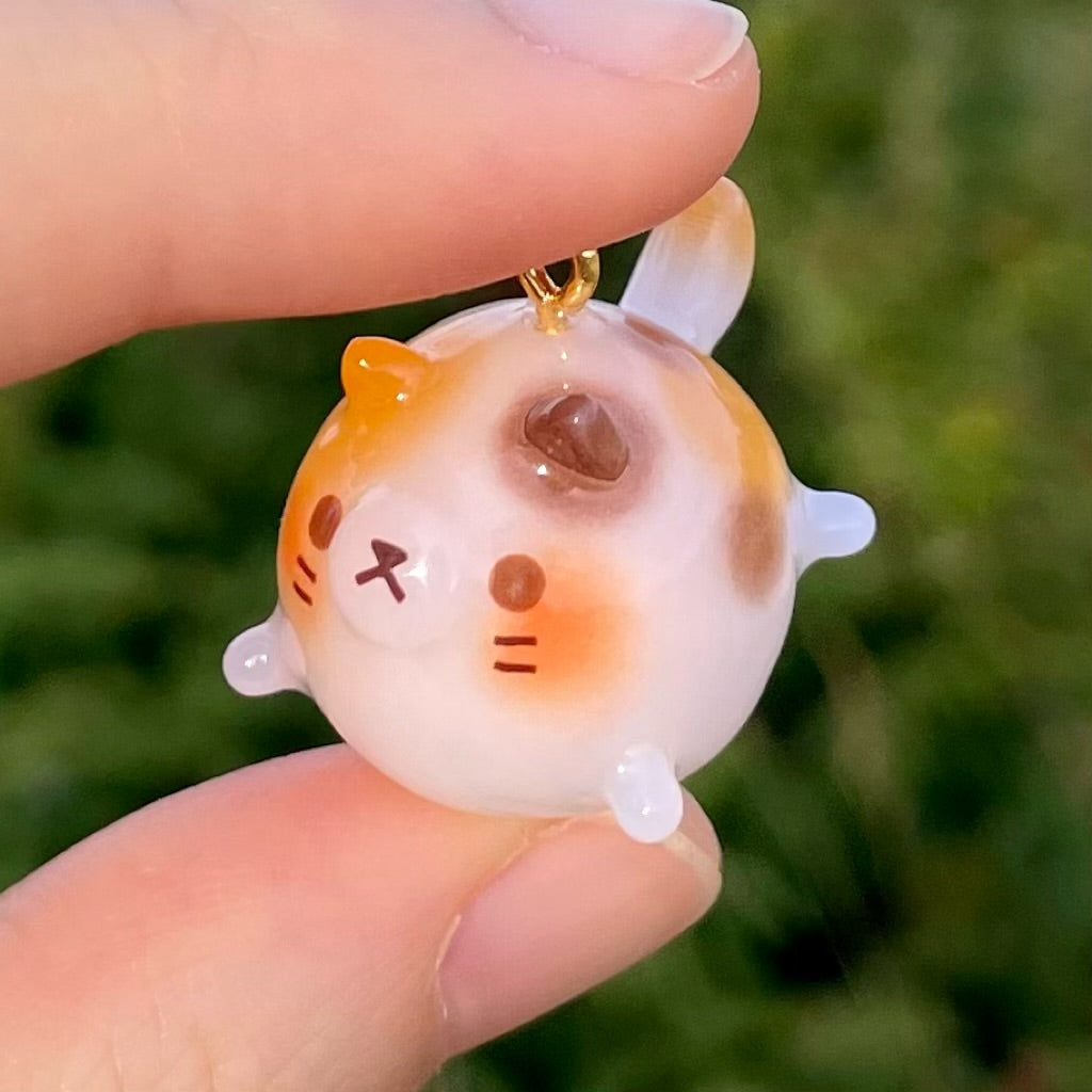 Calico Cat