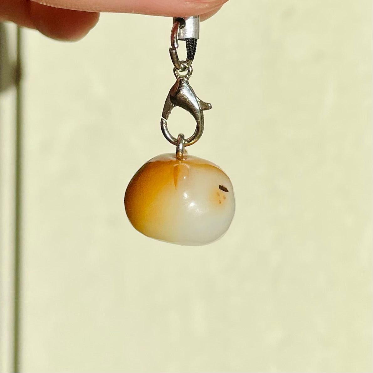 (Clearance) Small Hamster