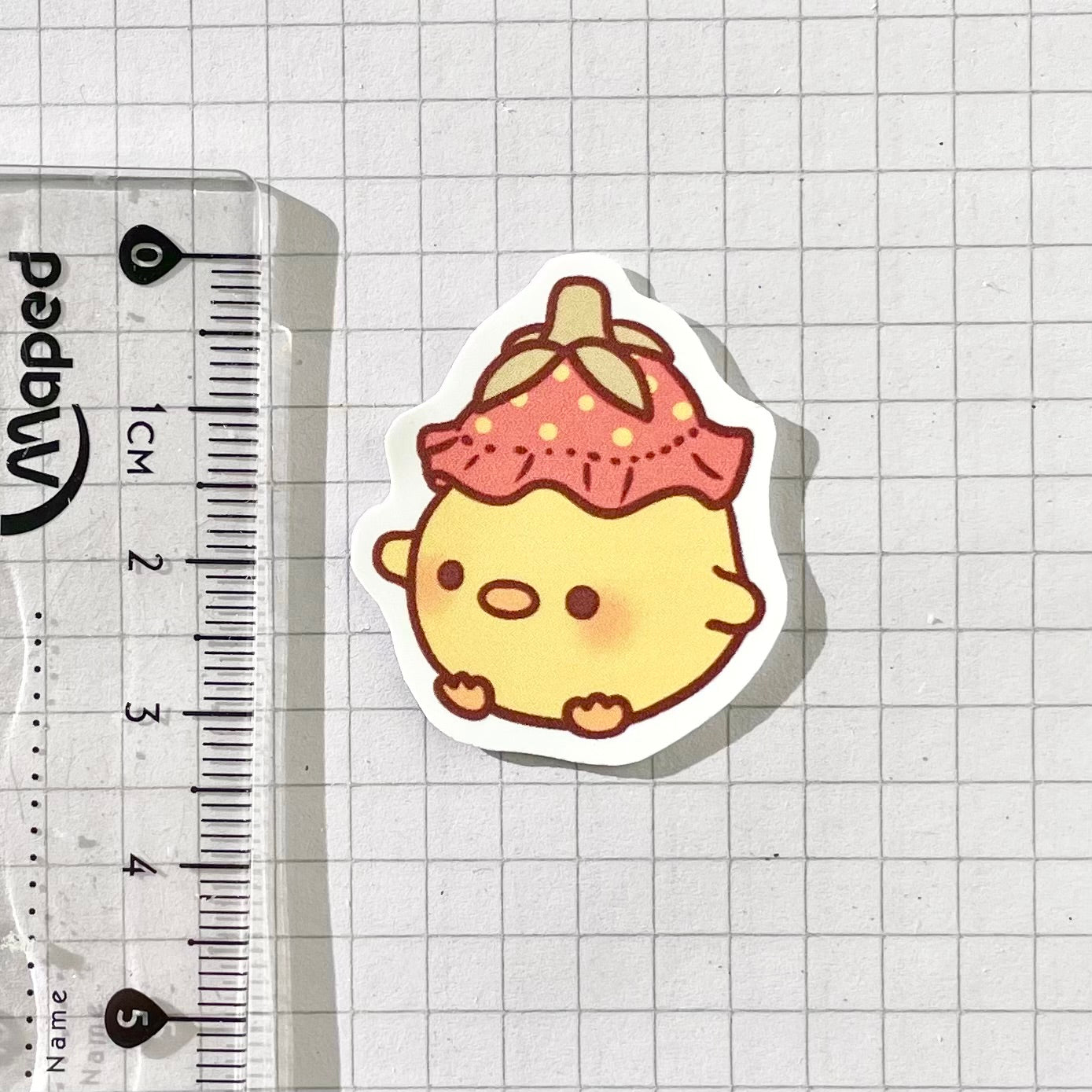 Strawberry Hat Chick
