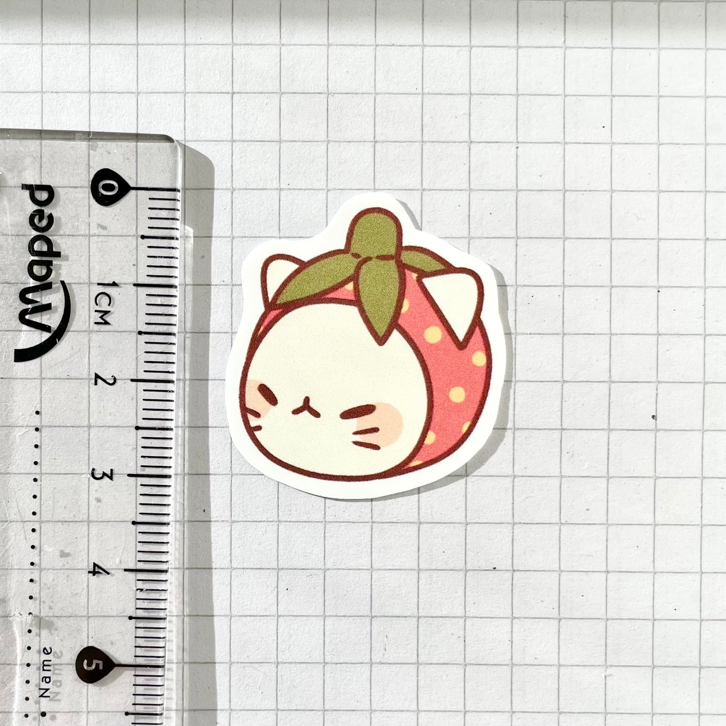 Strawberry Cat Head