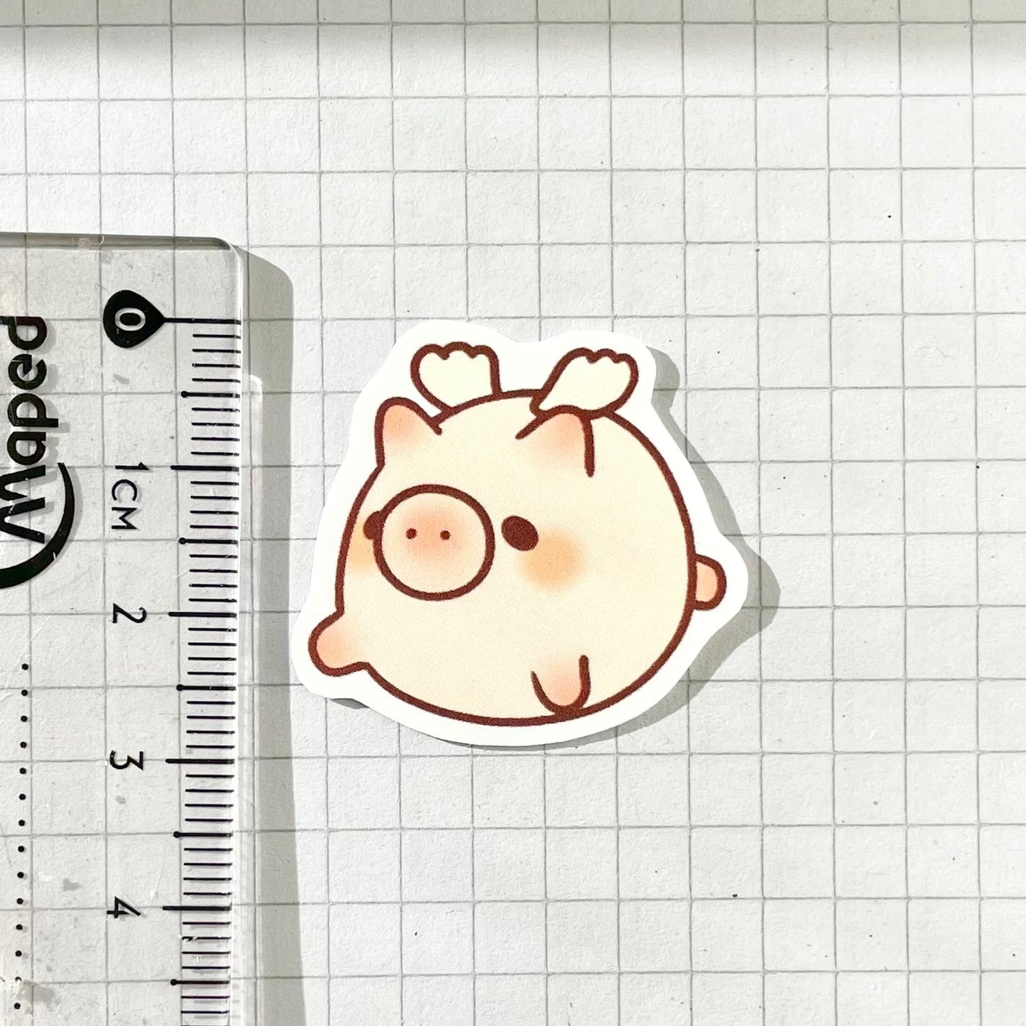 Flying Pig