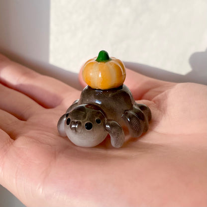 (Catalogue) Pumpkin Spider