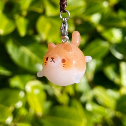 (clearance) Mocha Cat