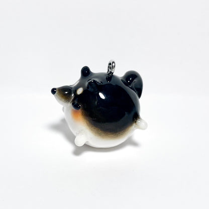 Black Shiba Inu