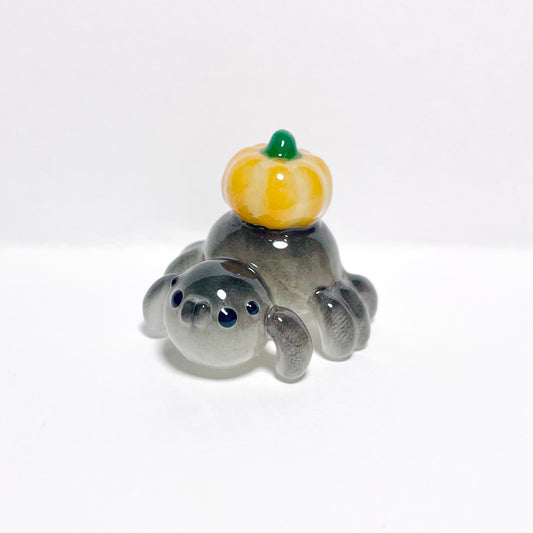 (Catalogue) Pumpkin Spider
