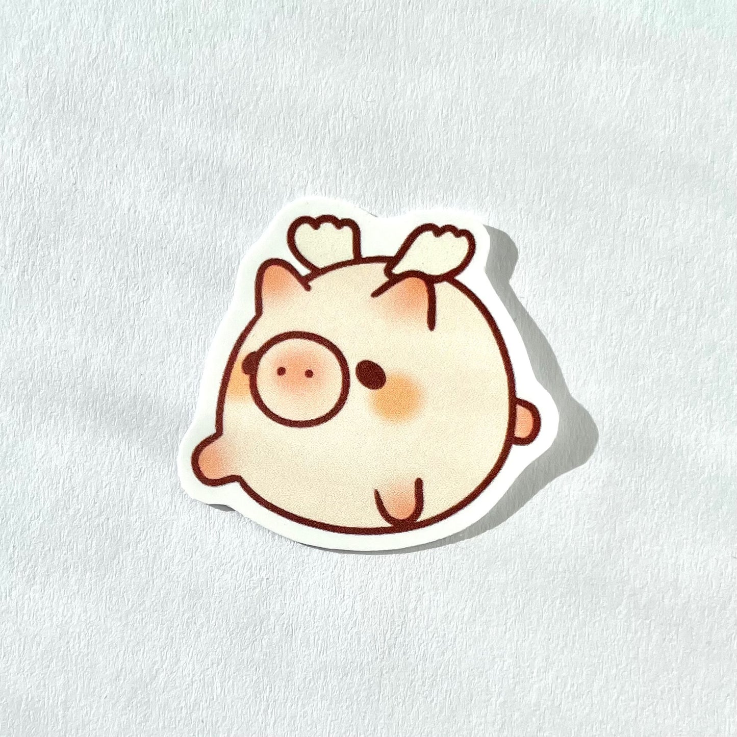 Flying Pig