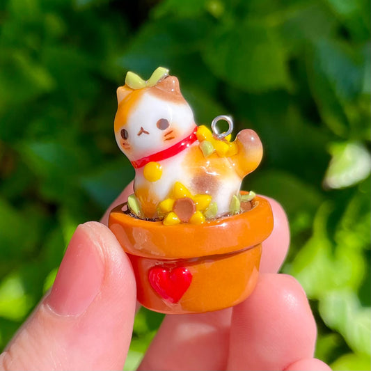 Plant Calico Cat