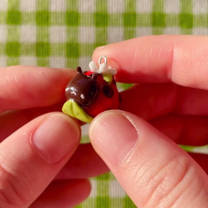 (Catalogue) Ladybug
