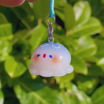 Jellyfish