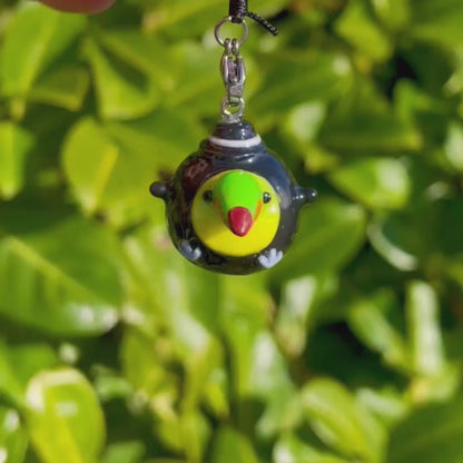 (Clearance) Toucan